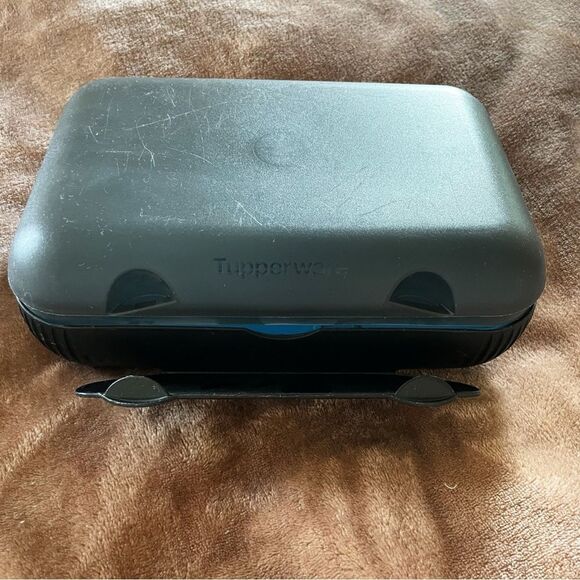Tupperware Charcoal Large Food/ Sandwich Container with Separator - Picture 1 of 9
